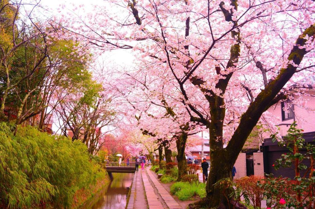 酒店 Hotel-kyoto Base